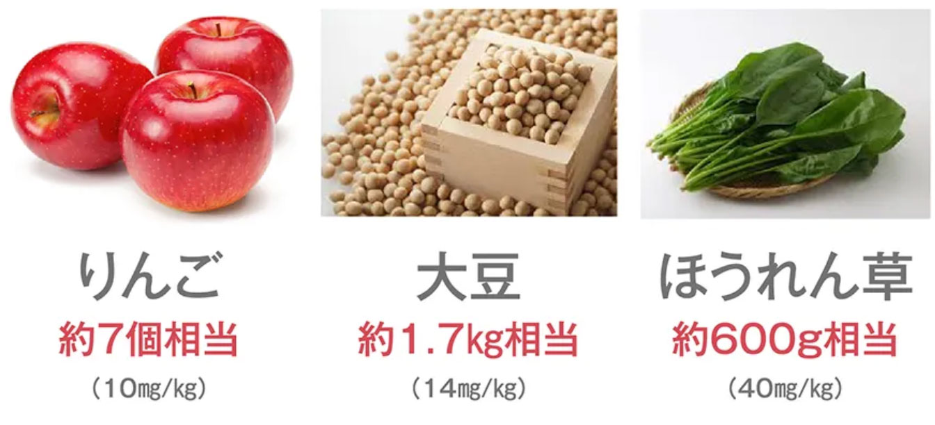 食品に含まれるシリカのイメージ