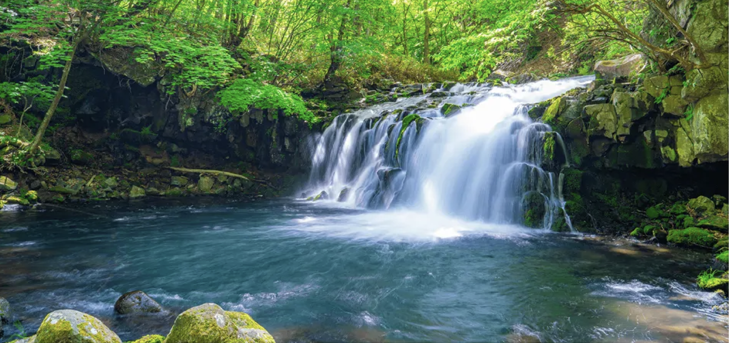 美しい自然の滝と川の風景