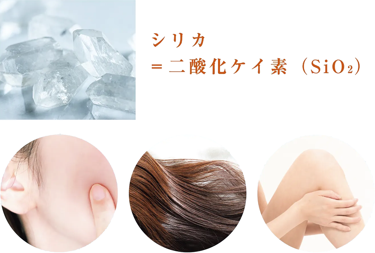 シリカ ＝ 二酸化ケイ素